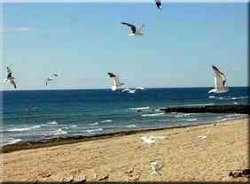 Puerto Penasco