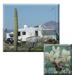Quartzsite