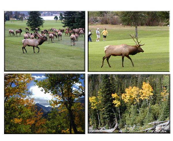 Estes Park