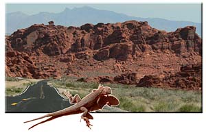 Nevada