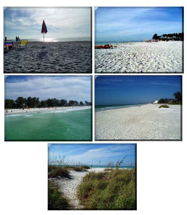 Bradenton & Holms Beach